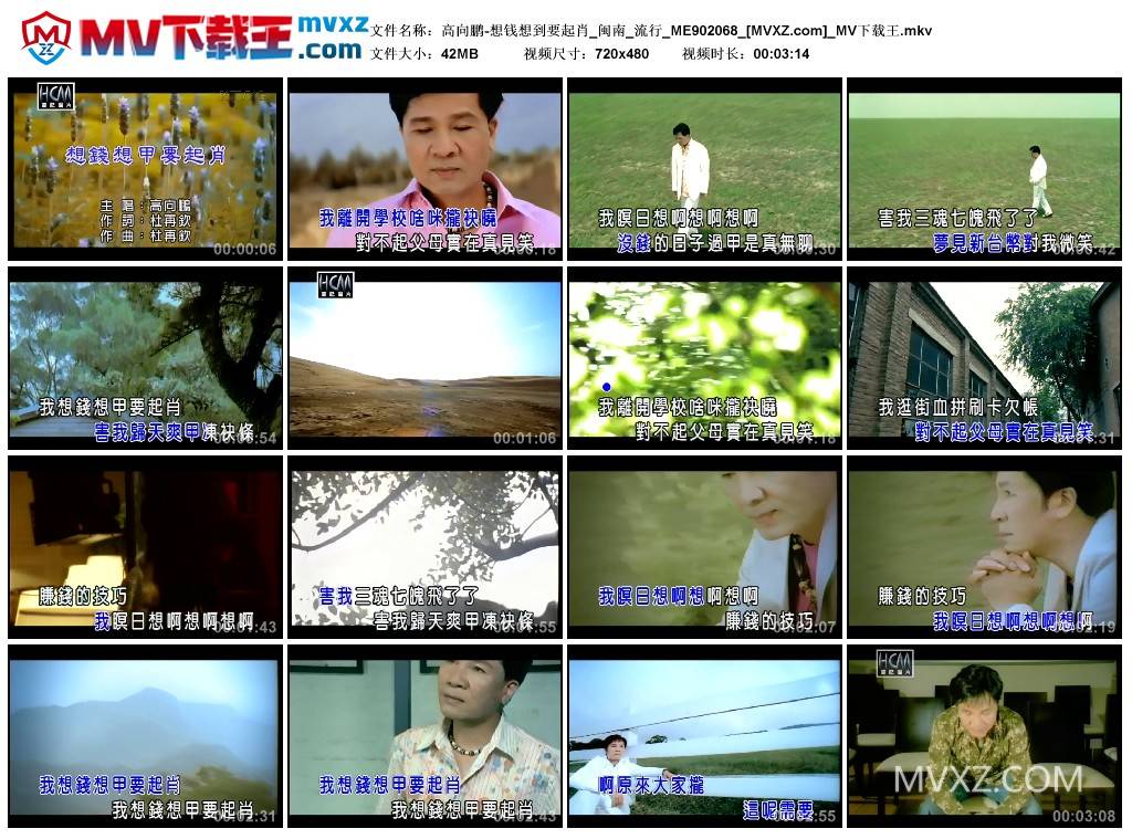 高向鹏-想钱想到要起肖_闽南_流行_ME902068